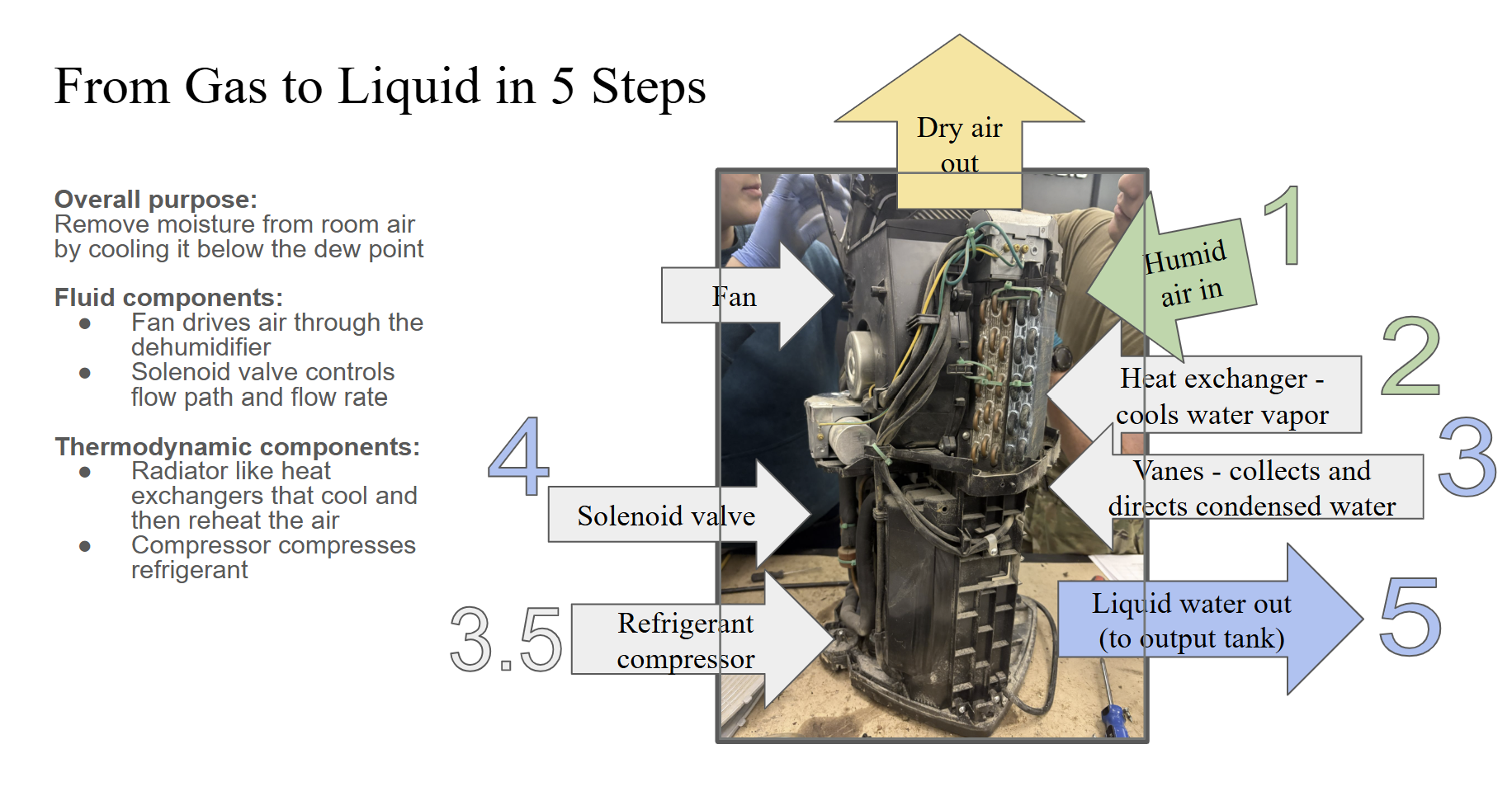 Fluid-Mechanical Dissection