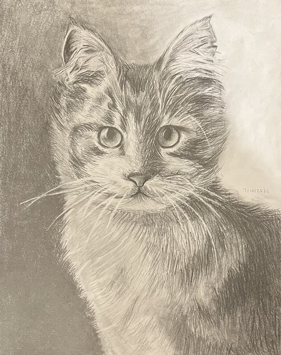 Personal Art Projects