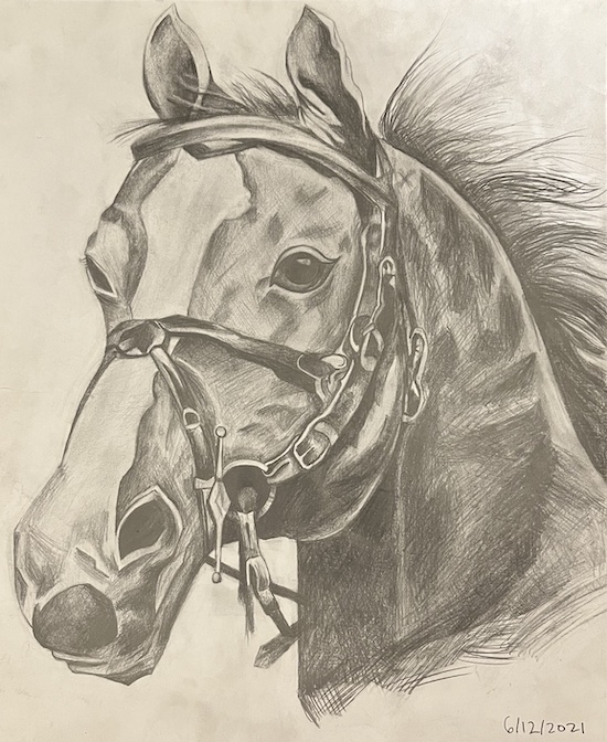 Horse Drawing