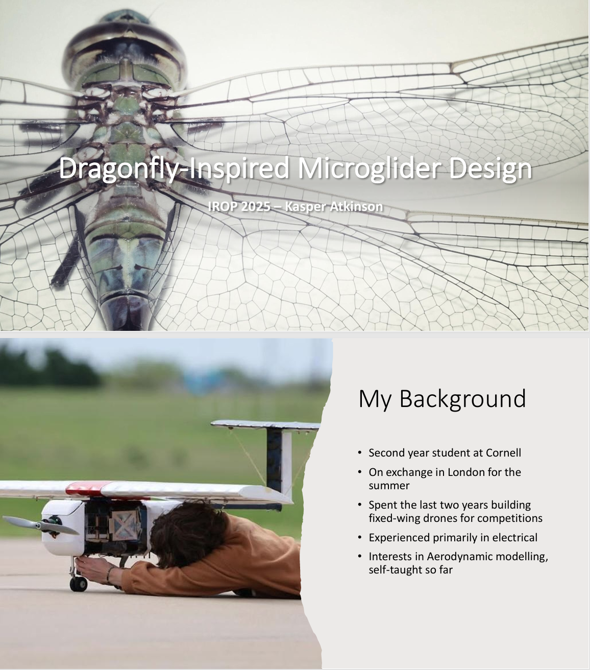 Dragonfly Microglider Presentation icon